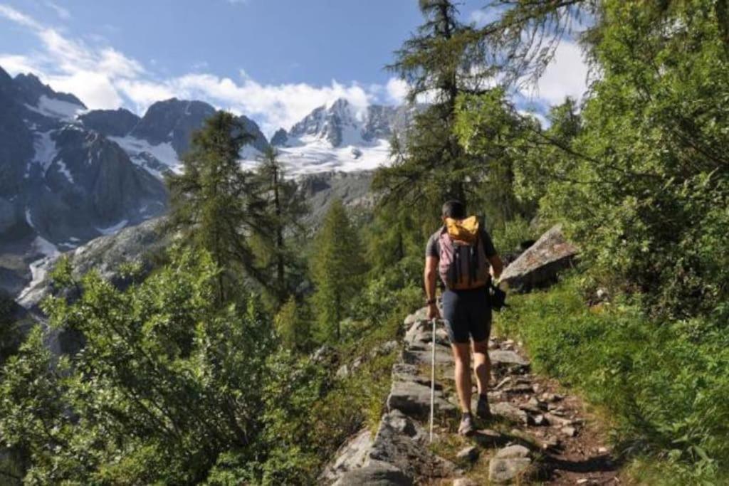 Вилла Chalet Rustico Bertolini Per Gruppi! Вермильо Экстерьер фото